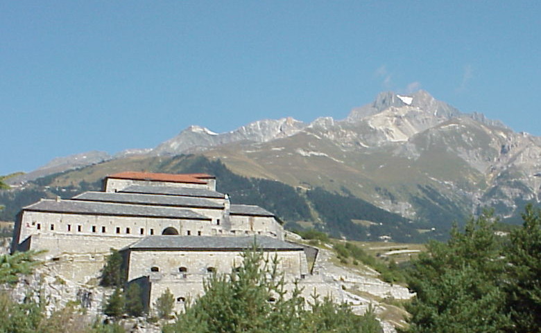 Psr Piemonte Bando Giovani Agricoltori Giovani Impresa Coldiretti