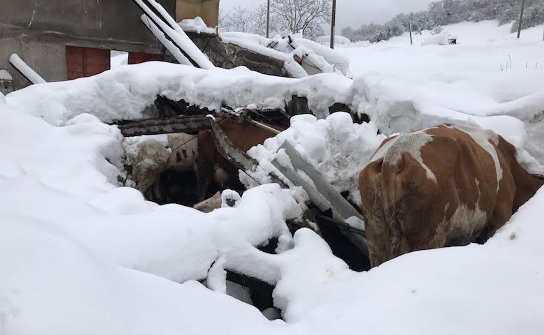 La Stalla Lombarda Mobili.Terremoto Bene Semplificazione Solo Il 12 Stalle Mobili