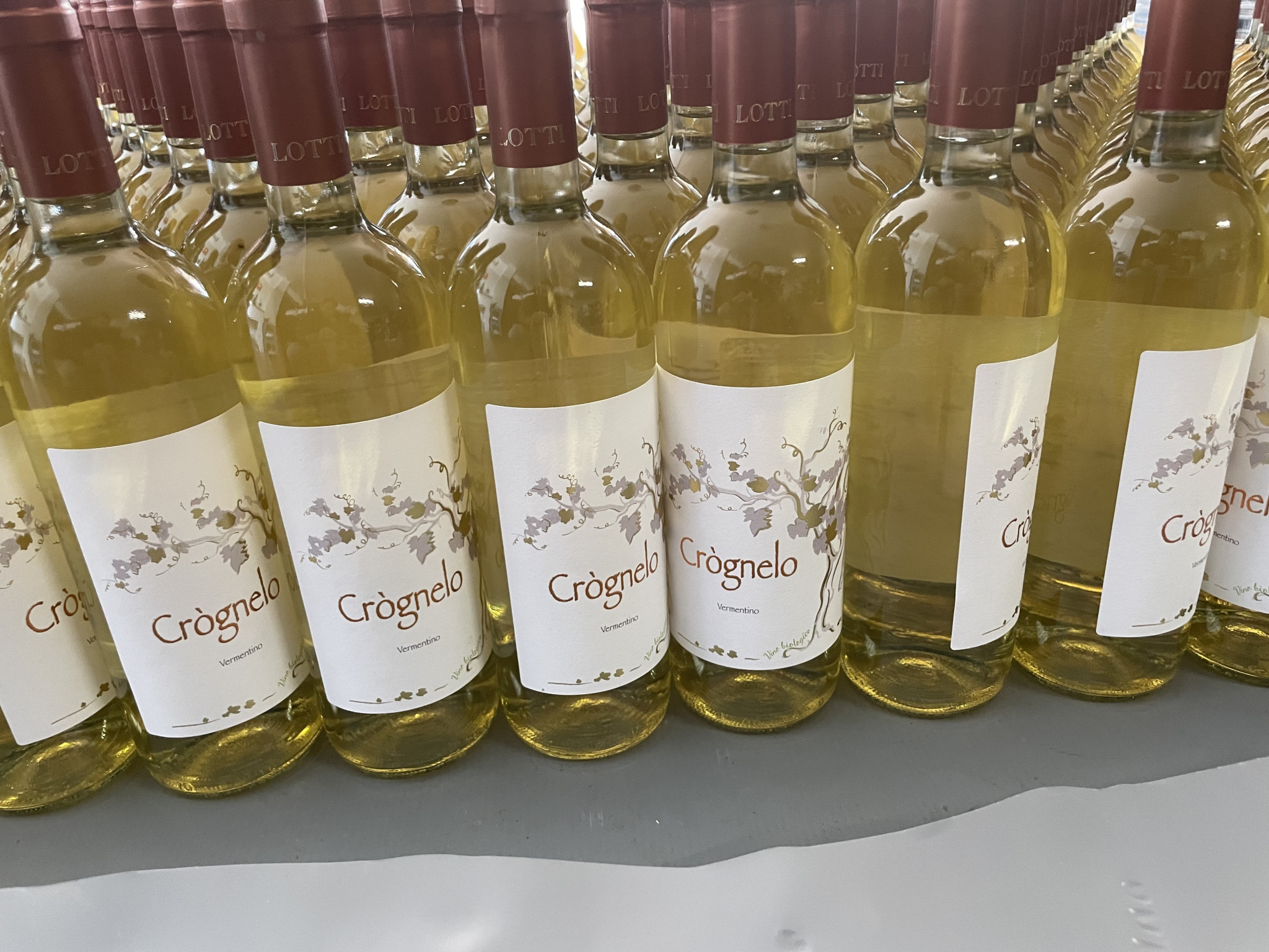Crognelo