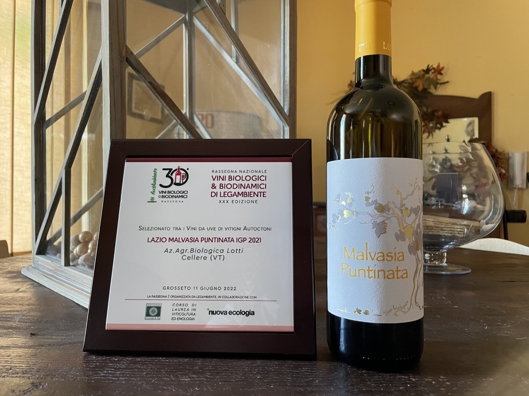 Malvasia Puntinata