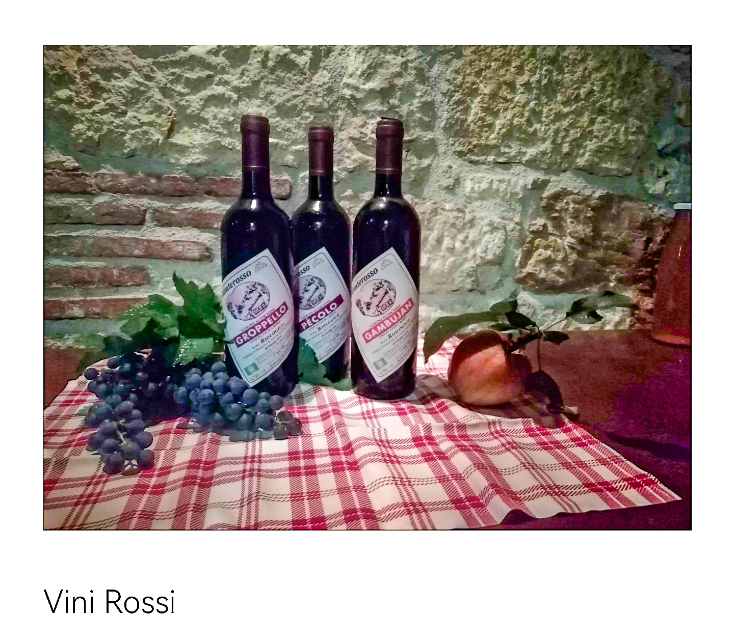 Vini Rossi