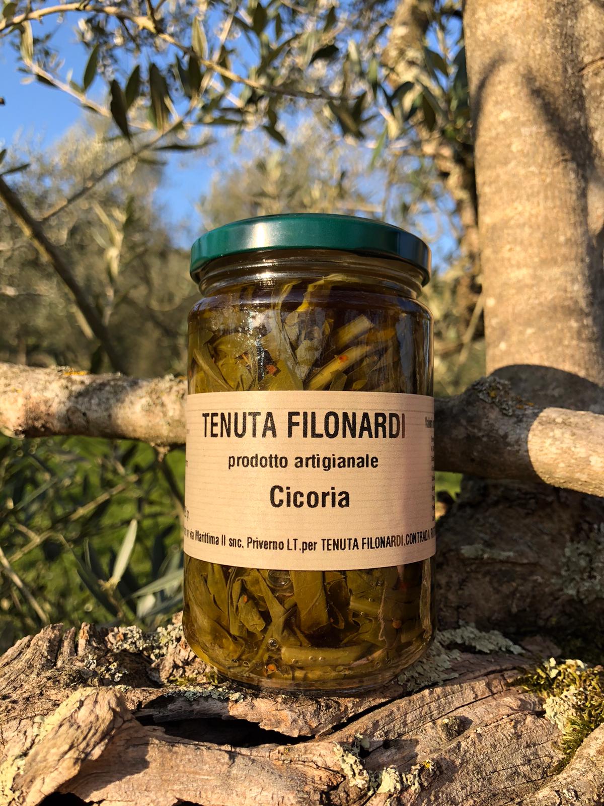 Cicoria