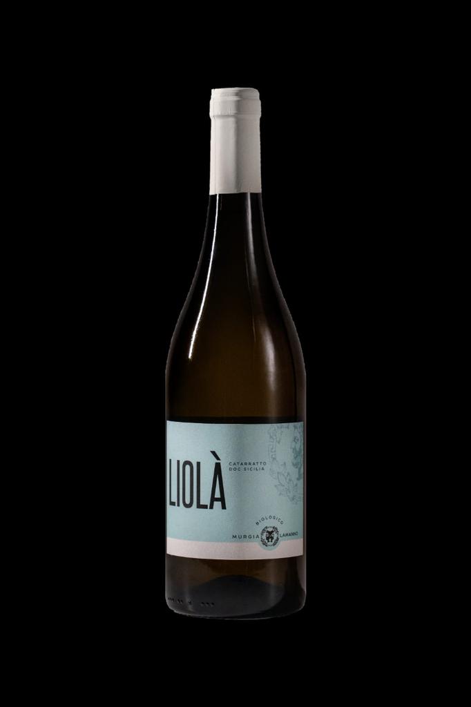 Liolà (catarratto doc Sicilia 2022) Biologico