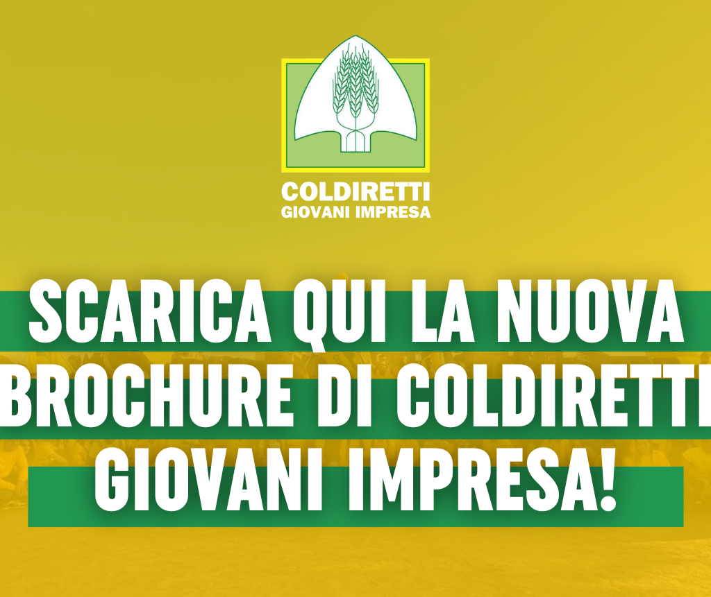 https://giovanimpresa.coldiretti.it/wp-content/uploads/2025/12/BROCHURE-GIOVANI-IMPRESA-2025.pdf